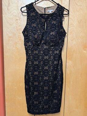 Dress barn black lace overlay dress